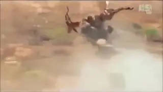 Lion RKO's gazelle