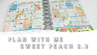 Plan with Me: Nikki Plus Three 