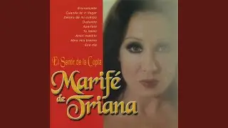 Cuando Te Vi Llegar