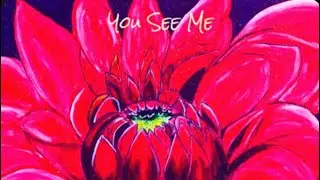 You See Me - Daniel Divine