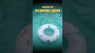 Pelampung budak dinosaur comel & murah #shorts #viralshorts #pelampung #floating #swimming #kids