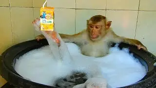 SokYaa Swim Alone At Home