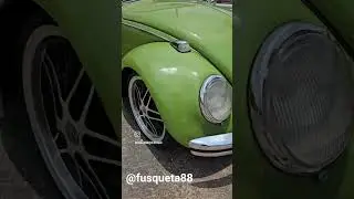 S&oacute; Fusc&atilde;o