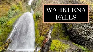 Swervy, Curvy Wahkeena Falls Brings the Joy!
