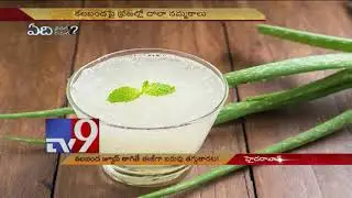 Aloe Vera for weight loss! - TV9
