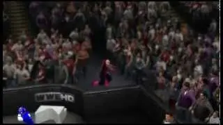 WWE 13 crowd glitch