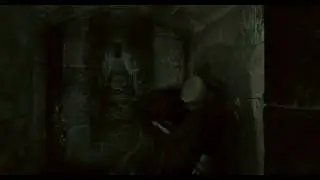 Harry Potter 7 Parte 1, Escenas (Gregorovitch)