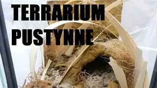 Terrarium pustynne - ścinaka i jaskinia z gliny