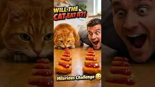CAT vs ME 😳 Food Race Challenge | Who Wins? #shorts #cat #funny #fyp #ai