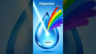 Daily Knowledge | Why does a rainbow have 7 colors?