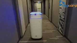 C&ugrave;ng trải nghiệm phụ vụ từ robot Digicorp W3+ tại Premier Peal Vũng T&agrave;u