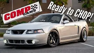 Officially Camming My SVT COBRA WITH COMP CAMS