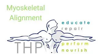 Myoskeletal Alignment - Back Pain Exercises, Low Back Pain, Neck Pain, Headaches