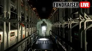 Streamer Survival Fundraiser Event - Star Citizen #live