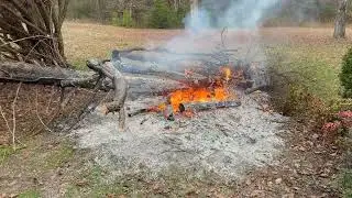 Burning a Fallen Cedar Tree #Burning #Cedar