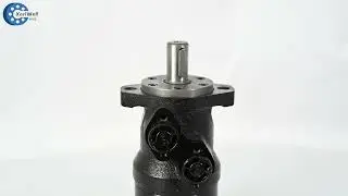 OMR BMR 250 Orbital Hydraulic Motor with sauer danfoss
