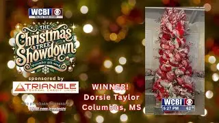 WCBI announces 2025 Christmas Tree Showdown winner