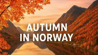 Захватывающая дух красота осени в Норвегии 🍁✨ | Сезон золотых чудес 🍂🇳🇴 #осень
