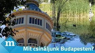 A Margit-sziget rejtett sz&eacute;ps&eacute;gei | Mit csin&aacute;ljunk Budapesten?