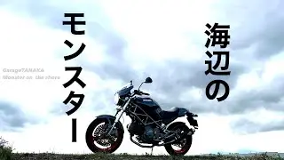 海辺のモンスター