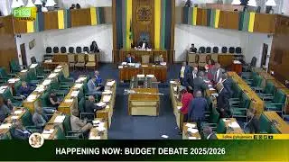 2025-2026 Budget Debate Contribution by the Opposition Spokesperson of Finance, Julian Robinson, MP