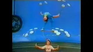 Acrobatic Chinese