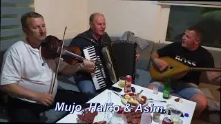 Mujo, Halčo & Asim, Izvorne i sazlijske pjesme.  &Scaron;erići - Živinice 2025.