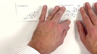 A Level Chemistry Optical Isomers
