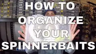 How to organize your Spinnerbaits and Buzzbaits