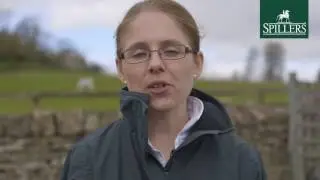 Grazing muzzle -  Safety
