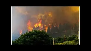 Durango fire: What is the cause of 416 fire? Latest Colorado fire map