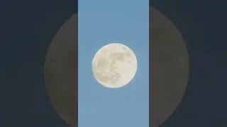 The moon! WAIT FOR IT animated   #moon #animation #vfx #asmr #blender