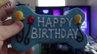 🎁🎂 Snoopy's birthday party started...time to eat the Birthday cookie! 🎉🐕