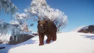 Grizzly Bear | Planet Zoo Animals