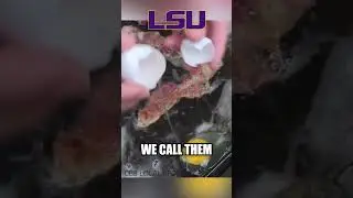 No one has a better tasting college football tailgate than LSU 🤤 #shorts