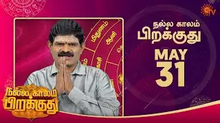 இன்றைய ராசி பலன் | நல்ல காலம் பிறக்குது | 31 May 2022 | Sun TV