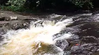 Warringa Pools, Springbrook 11/12/2024