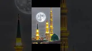 Beautiful Islamic WhatsApp status || Naat Shareef status || #ytshorts #naat #islamicstatus