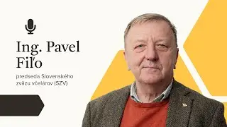 Ing. Pavel Fiľo - 