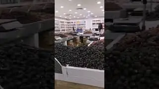 #DATE MARKET IN MEDIHA#ФИНИКОВЫЙ РЫНОК В МЕДИНЕ#