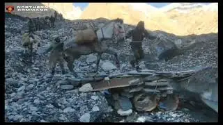 Zanskar ponies in Siachen Glacier | Indian Army