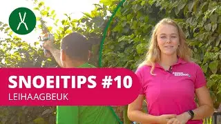 Hoe snoei je een lei haagbeuk? | SnoeiTips #10