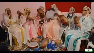 شيخات تارودانت بحاير الداليا