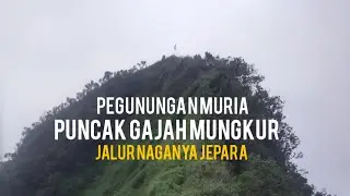 Puncak Gajah Mungkur Pegunungan Muria Via desa duplak jepara