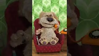 Ben Gets A Really Weird Phone Call - Talking Ben The Dog