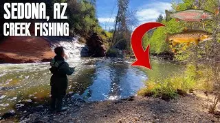 You Won’t Believe What Fish Lives Here (Oak Creek Fishing)