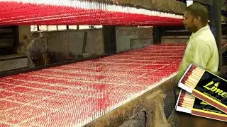 How I Made Billions MATCHES - Matchbox Production Process - Inside Match Factory -Machine&Technology