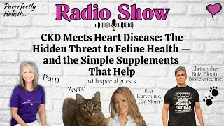 CKD Meets Heart Disease:  the hidden threat to feline health and simple supplements that help