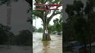 Tense Moments Elderly Rescued from Flooded Village 😨 #Shorts #Rescue #viralvideo