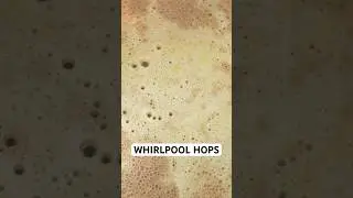 Хмель Whirlpool: объяснение того, как улучшить вкус и аромат домашнего пива 🍻